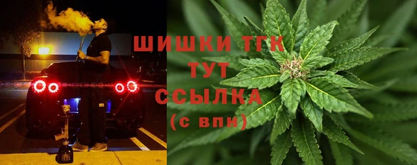 гидра Лагань
