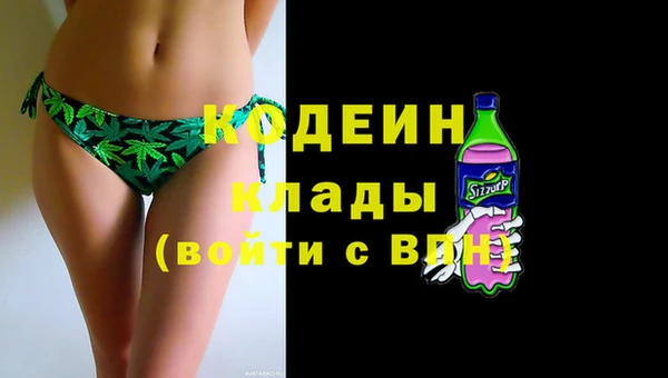 дмт Лабытнанги
