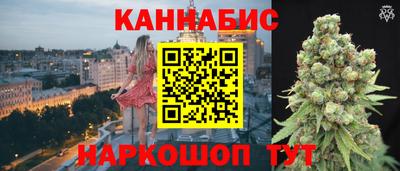 гидра Будённовск