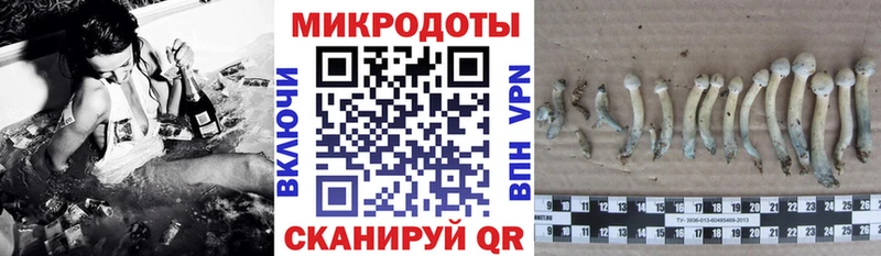 Галлюциногенные грибы Psilocybe  наркота  мега онион  дарк нет официальный сайт  Ноябрьск 