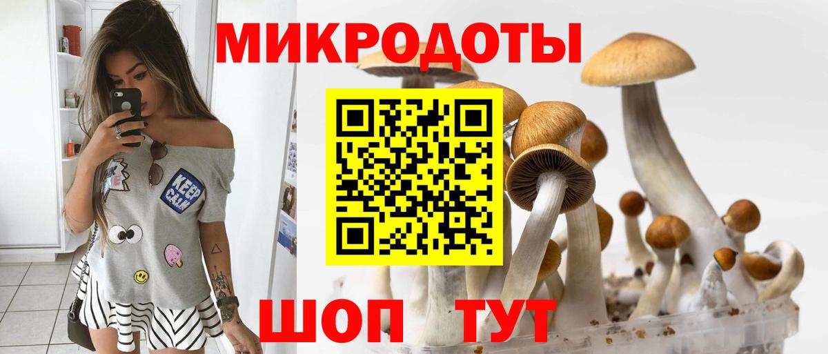 Ноябрьск  Псилоцибиновые грибы Psilocybine cubensis  Вход с VPN 