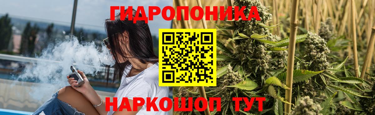 Ноябрьск  Бошки Шишки OG Kush  Бошки Шишки гибрид  Вход с VPN  Марихуана ГИДРОПОН 